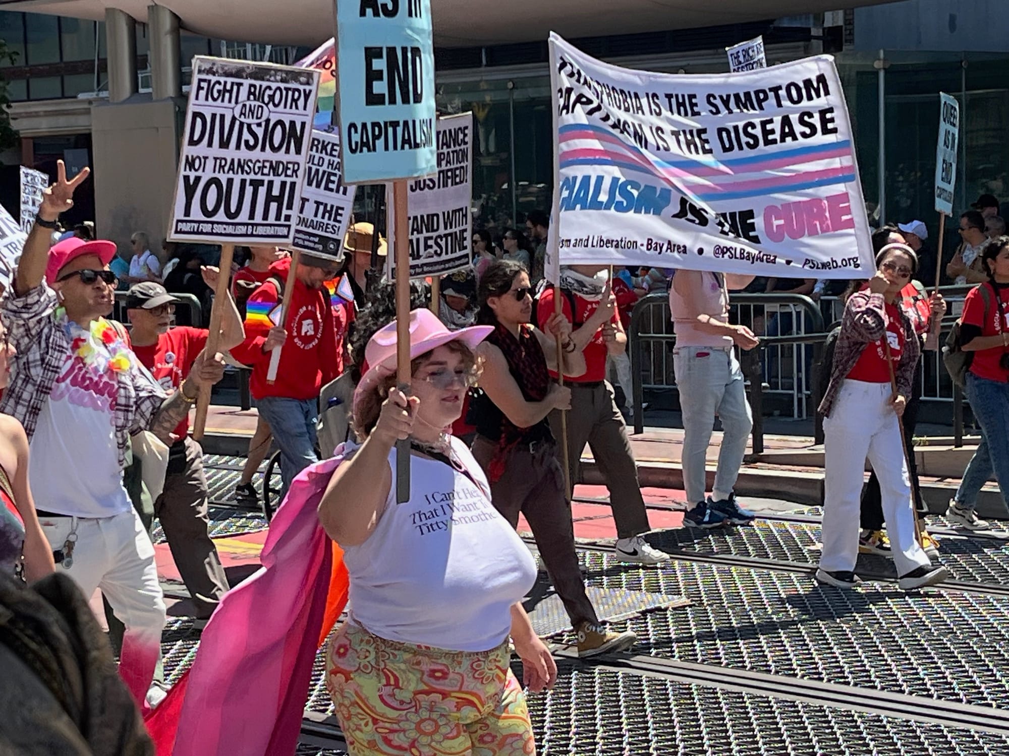 The Peace and Freesom party marches at Pride parade