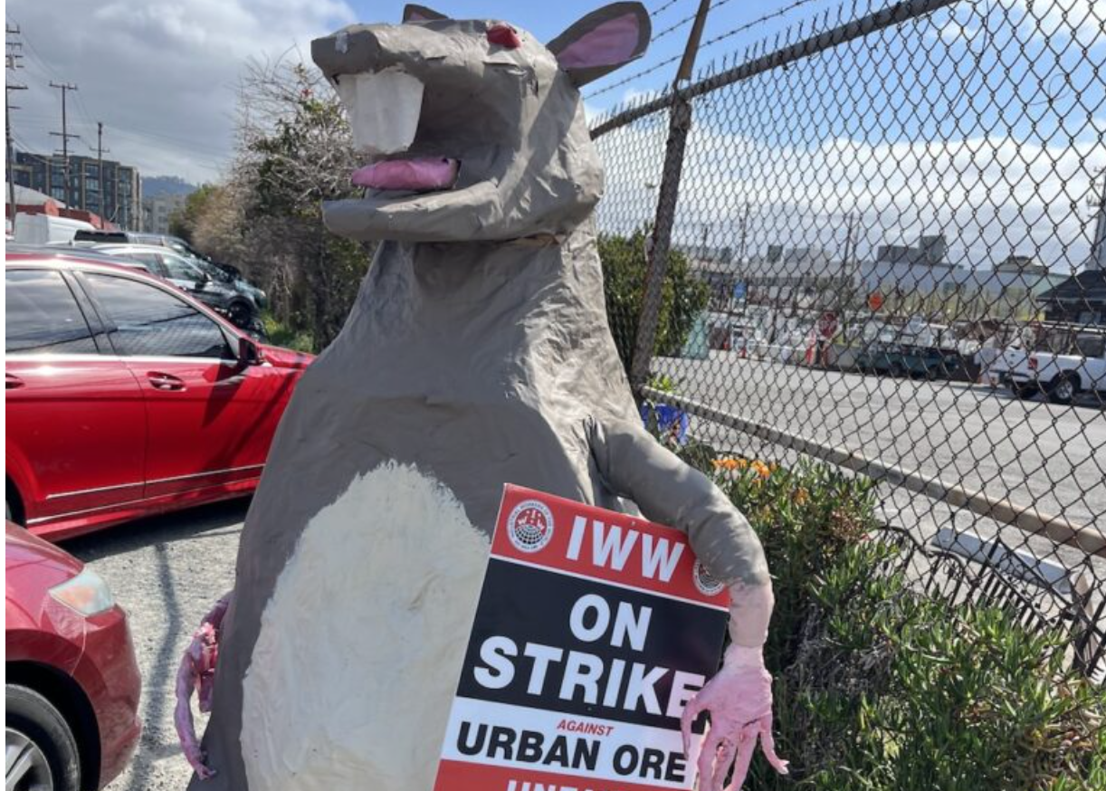 Image of a giant rat effigy with "IWW On Strike Against Urban Ore" message